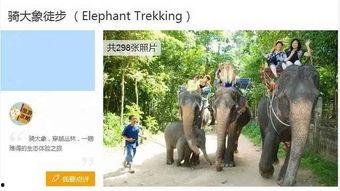 国产纪录片大象在线观看,探寻国产纪录片的新篇章