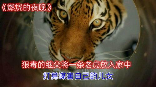 国产恐怖片老虎在线观看,国产恐怖片老虎在线惊悚揭秘