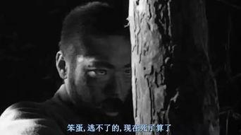 国产大尺度电影回放在线,激情燃烧的岁月，在线回放揭秘